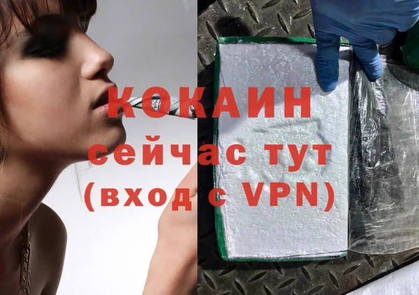 шишки Армянск