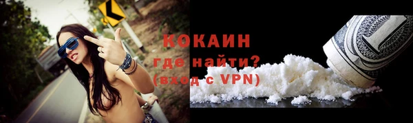 шишки Армянск