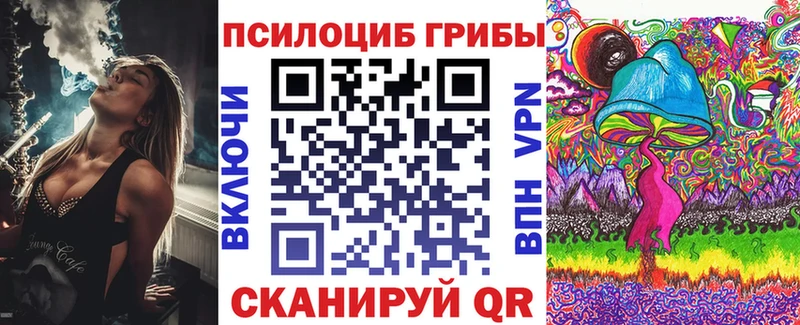 что такое наркотик Барабинск Галлюциногенные грибы Psilocybe