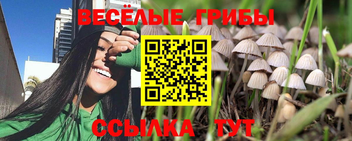Псилоцибиновые грибы мухоморы  где купить наркоту  Барабинск  Вход с VPN 