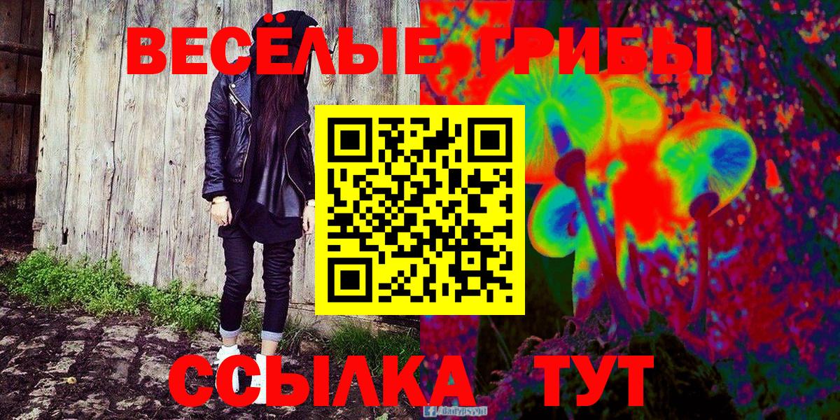 Псилоцибиновые грибы мухоморы Барабинск